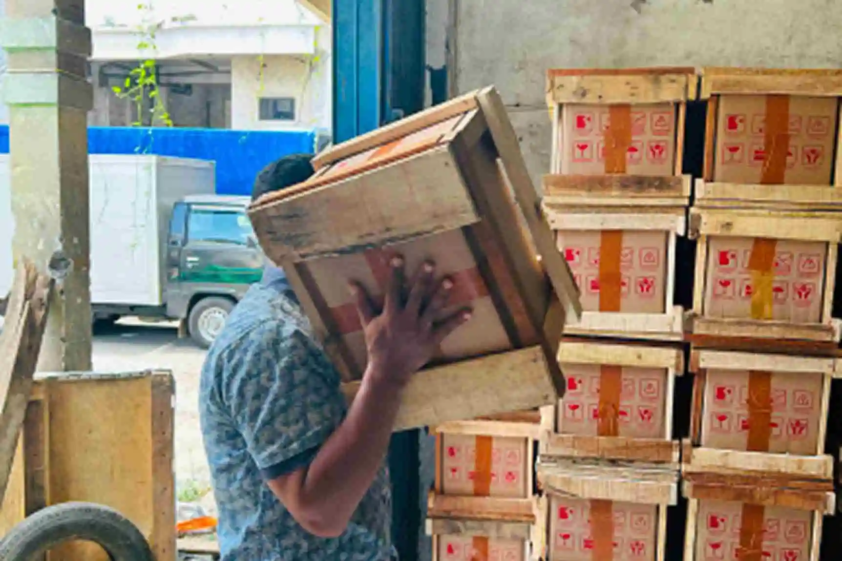 Keuntungan Menggunakan Cargo ke Palopo
