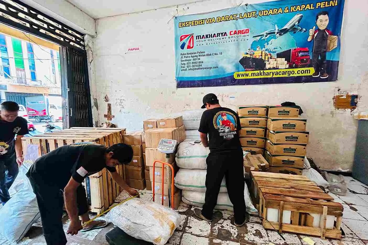 asuransi cargo palopo
