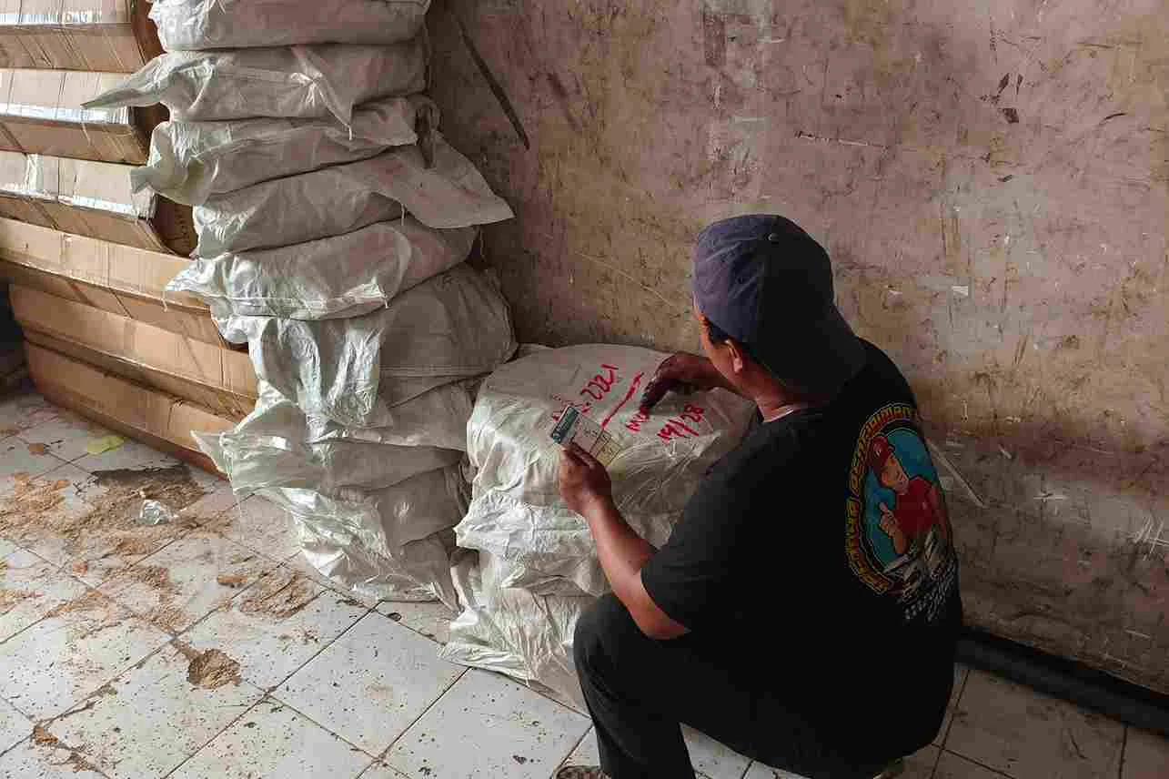 pengiriman cargo ke palopo
